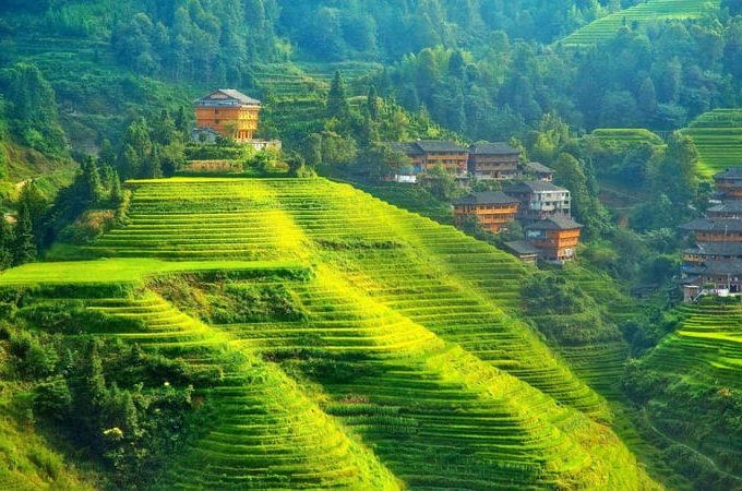Mango Hill Kodaikanal