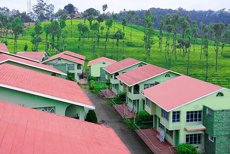 Memorable MAngo Hill Review