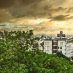 Mango Hill Central Chennai
